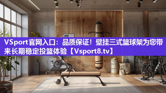 品质保证！壁挂三式篮球架为您带来长期稳定投篮体验